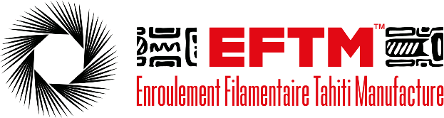 Logo EFTM